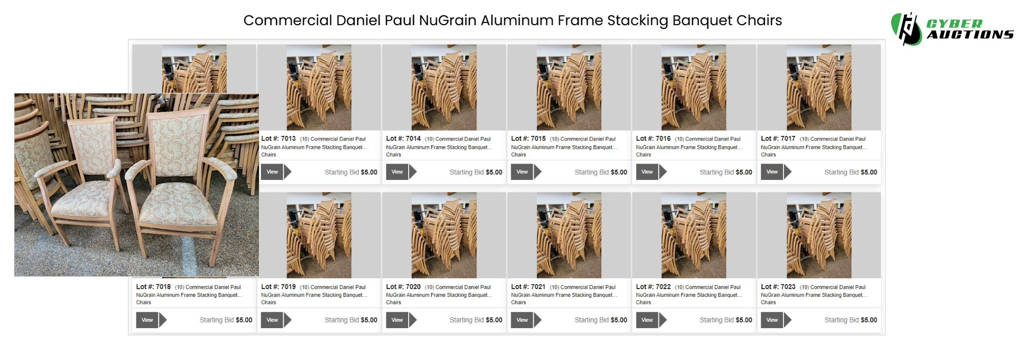 Commercial Daniel Paul NuGrain Aluminum Frame Stacking Banquet Chairs